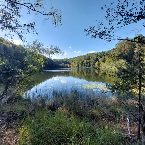 Ruhiger See inmitten der Natur im Schlaubetal – Spiegelbild des Himmels, umgeben von Bäumen und Stille