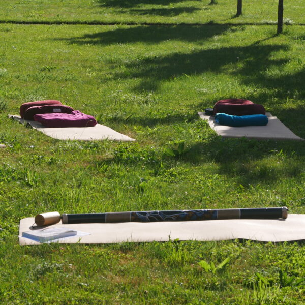 Yogamatten im Kreis auf einer grünen Wiese ausgelegt – Vorbereitung für eine gemeinsame Yogastunde in der Natur