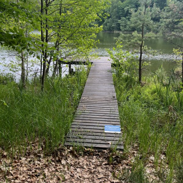 Holzsteg am ruhigen See, umgeben von Natur, ideal für Meditation, Yoga oder achtsame Auszeit