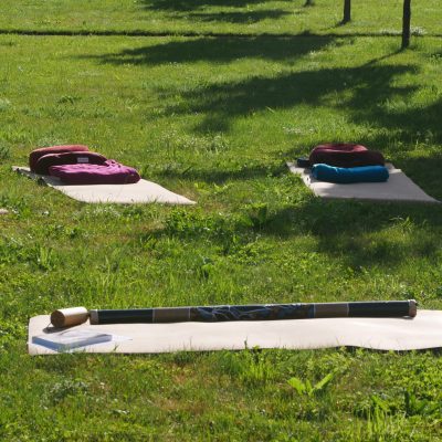 Yogamatten im Kreis auf einer grünen Wiese ausgelegt – Vorbereitung für eine gemeinsame Yogastunde in der Natur